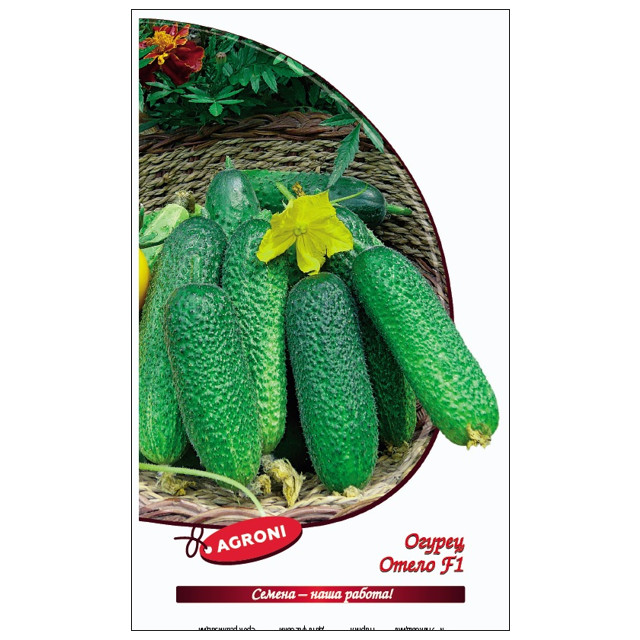 семена огурец Отело АГРОНИ F1 0,3г
